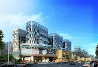 崇明区市政绿化种植