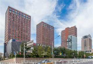 金山区综合信息技术联系方式