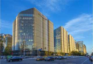 柑橘粉虱用什么农药