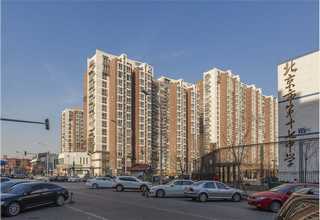 四川天然无添加宠物零食口碑推荐